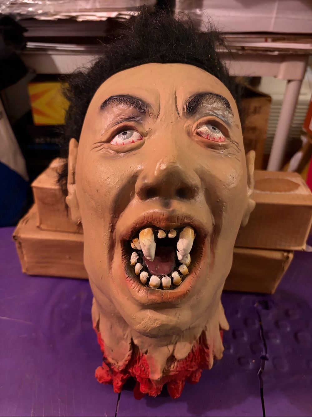 Realistic Severed Head Of Vampire Halloween Haunted House Decoration 13”